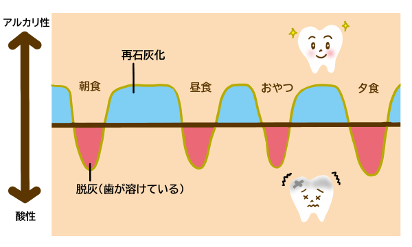 脱灰と再石灰化