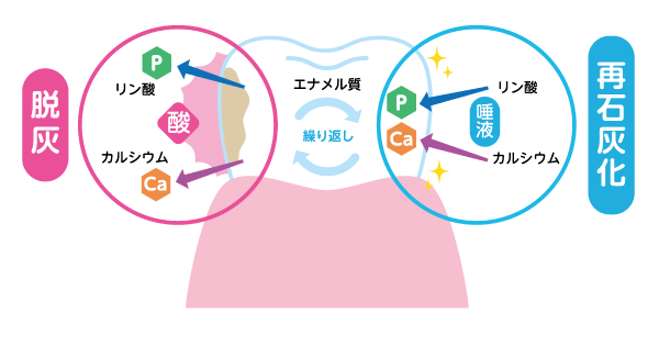 脱灰と再石灰化を繰り返す